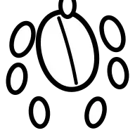 Seeds