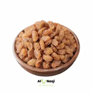 Munakka Afghani